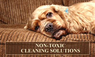 Non-toxic carpet and upholstery cleaners