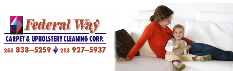 Carpet Cleaning in King County, Federal Way Carpet Cleaners