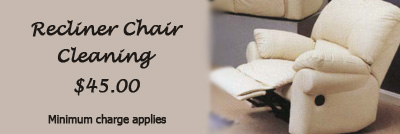 furniture cleaning, Special